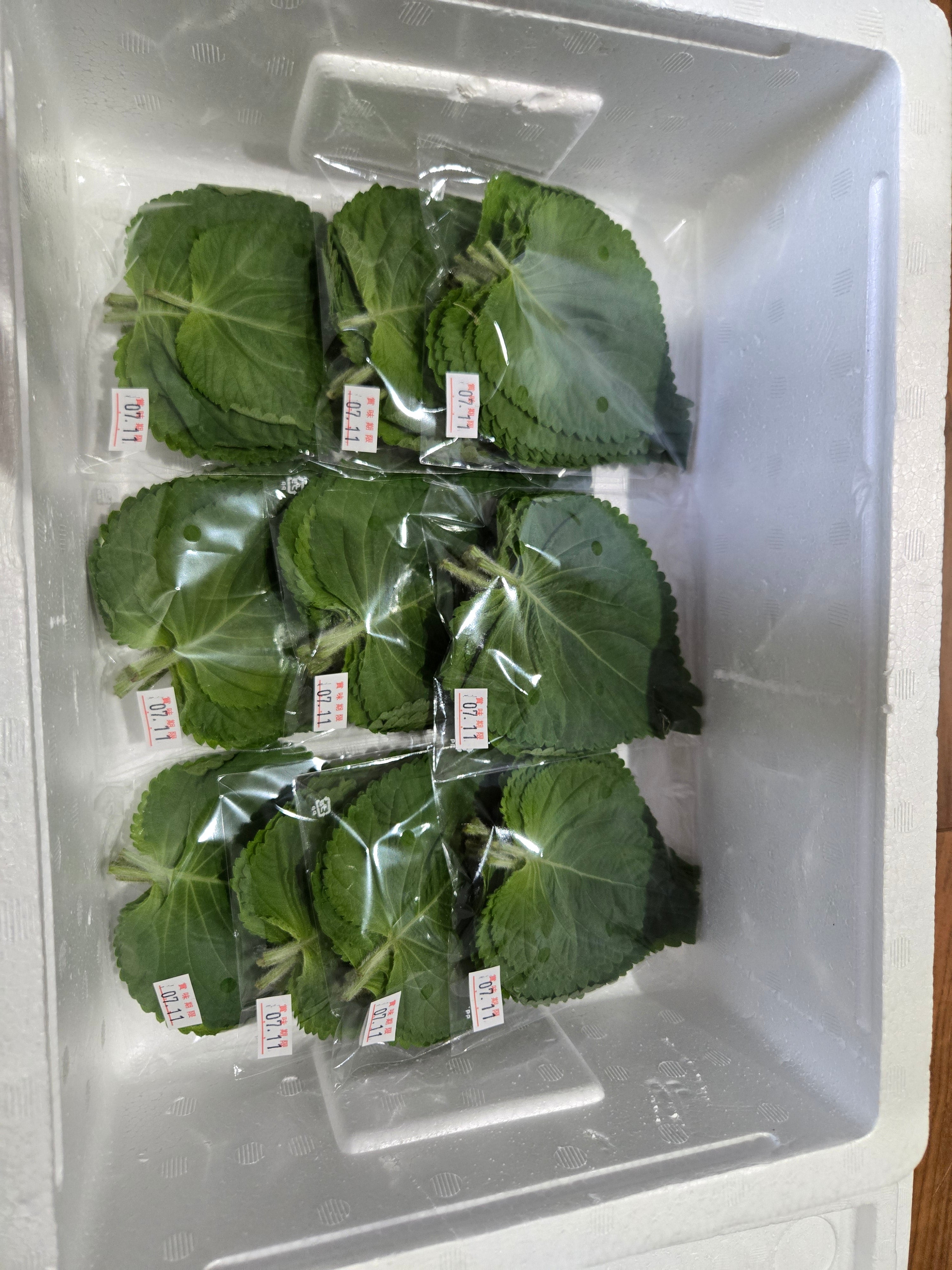 無農薬】エゴマの葉 50枚｜サムギョプサル・キムチにぴったり – CANCAN